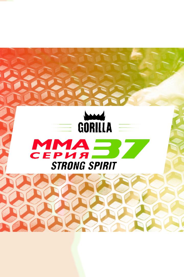 MMA Series топ-50. 03. ММА Серия-37: Strong Spirit. С.Бобрышев vs А.Балаур