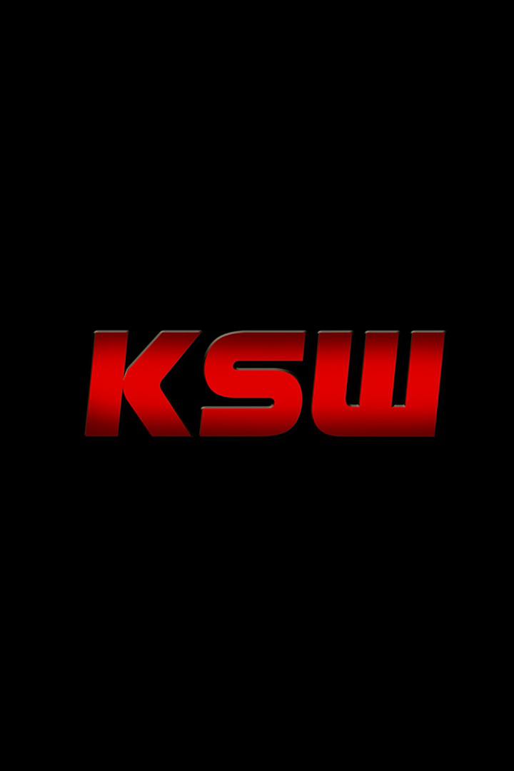Смешанные единоборства. KSW 66. Мариан Зиолковски против Бориса Манковски. Томаш Наркун против Ибрагима Чужигаева