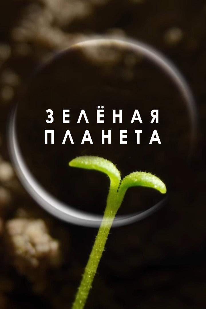 Зелёная планета