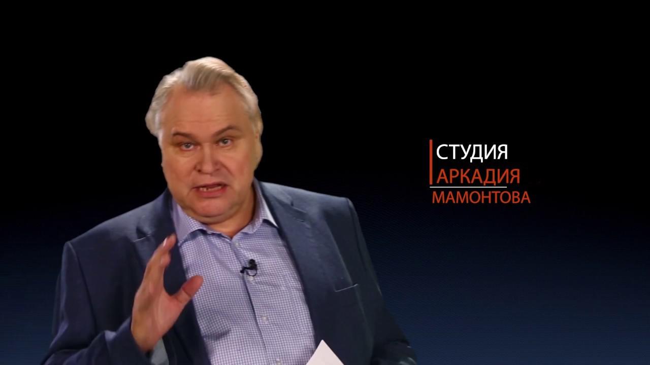 Специальный проект студии Аркадия Мамонтова