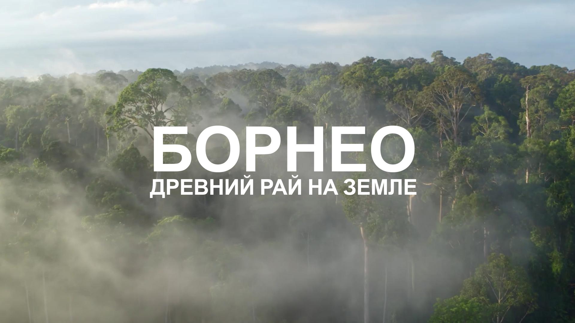Борнео. Древний рай на Земле