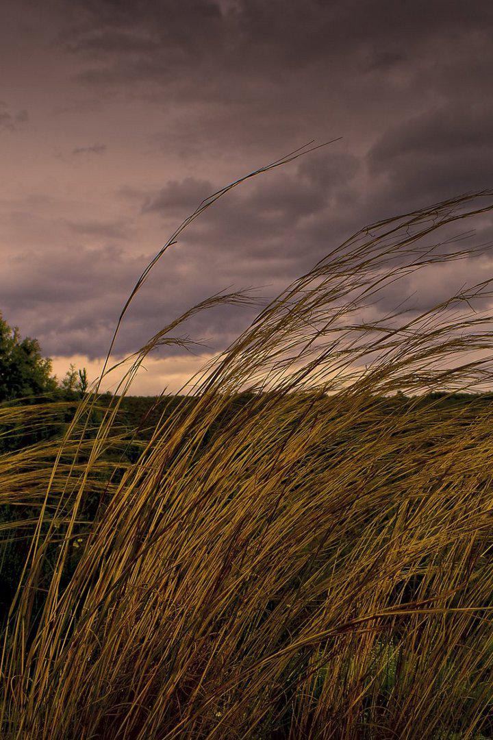 Охотники за стихией