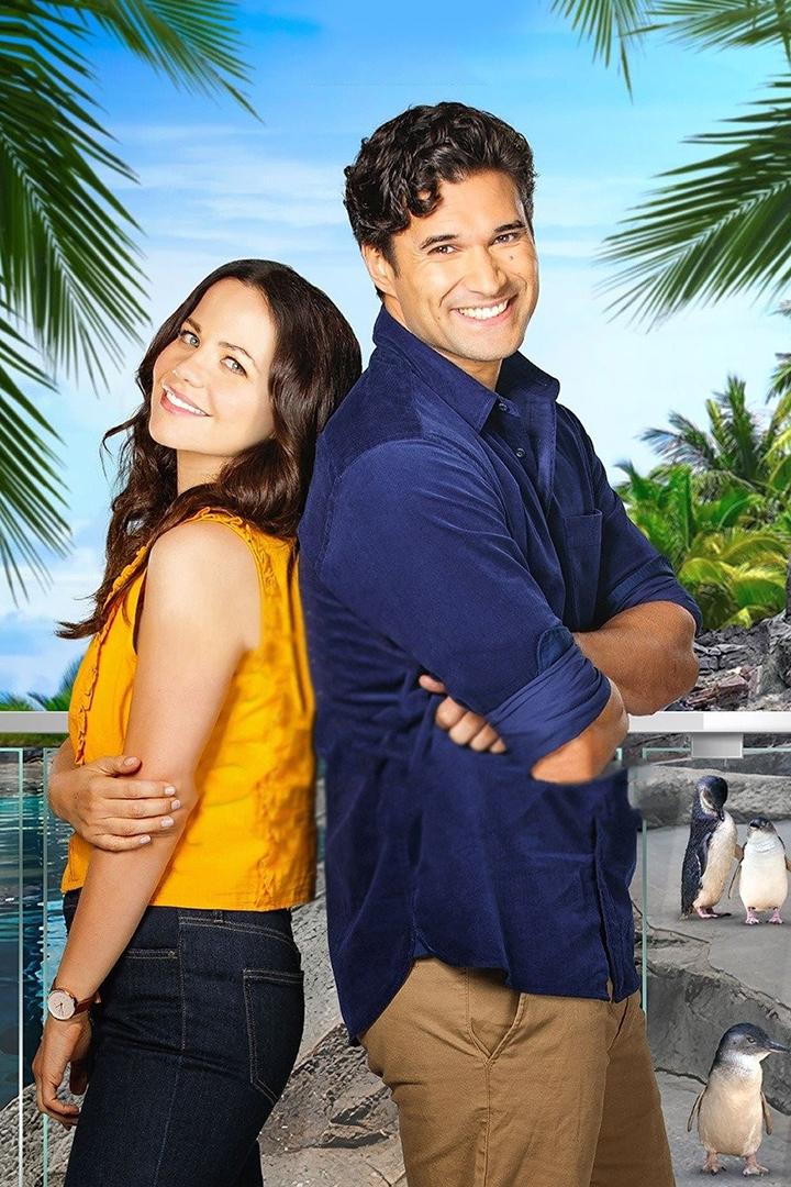 Любовь и пингвины