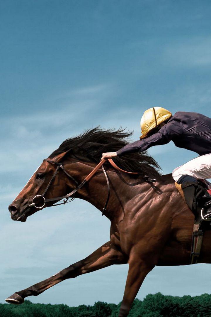 Скачки. День конного завода "Донской". Трансляция из Москвы