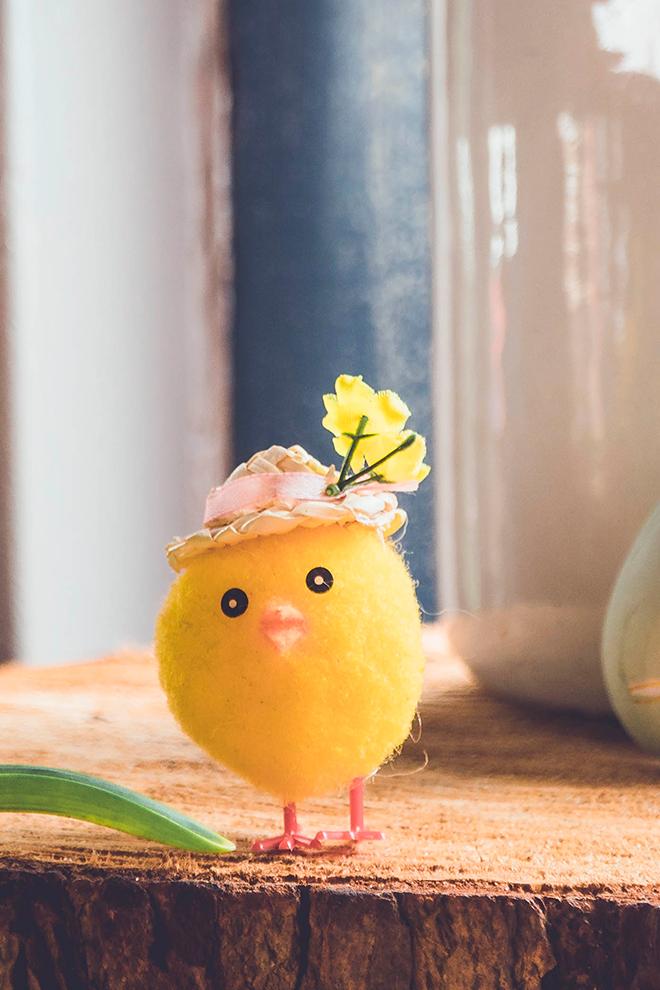 Космос мульт