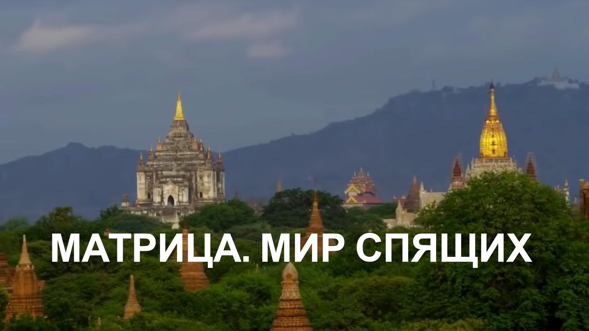Матрица. Мир спящих