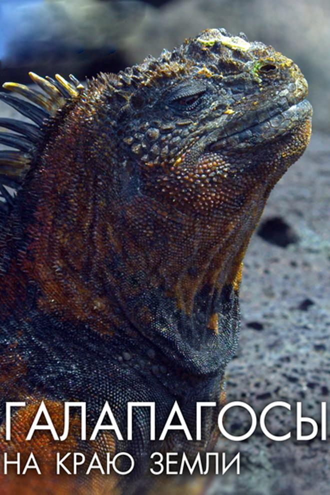 Галапагосы: На краю земли. Южная Корея