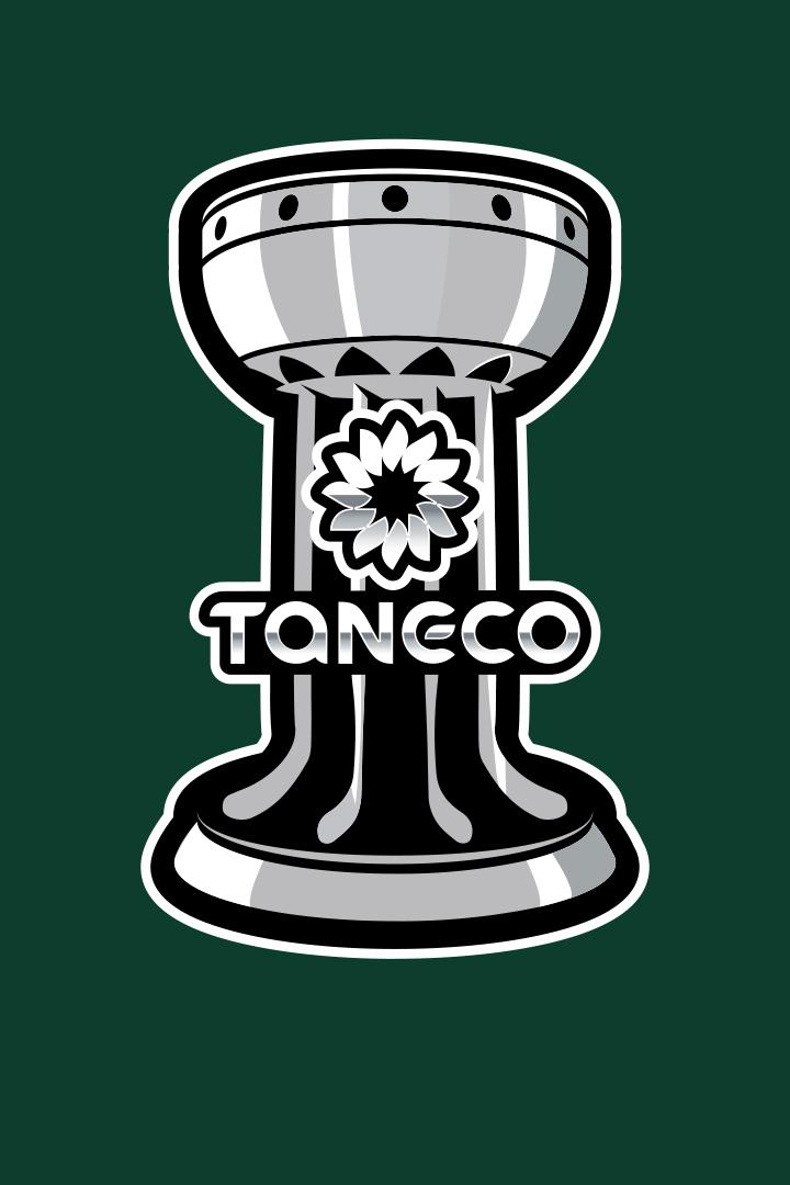 Хоккей. Предсезонный турнир "Кубок Танеко". Ак Барс - Салават Юлаев