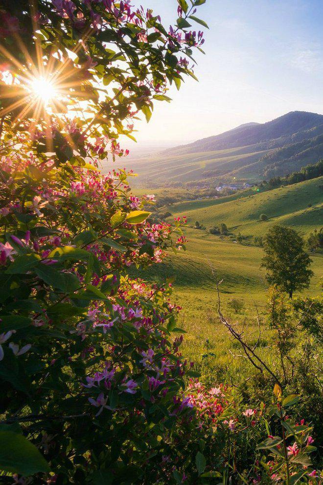 Водопад эмоций