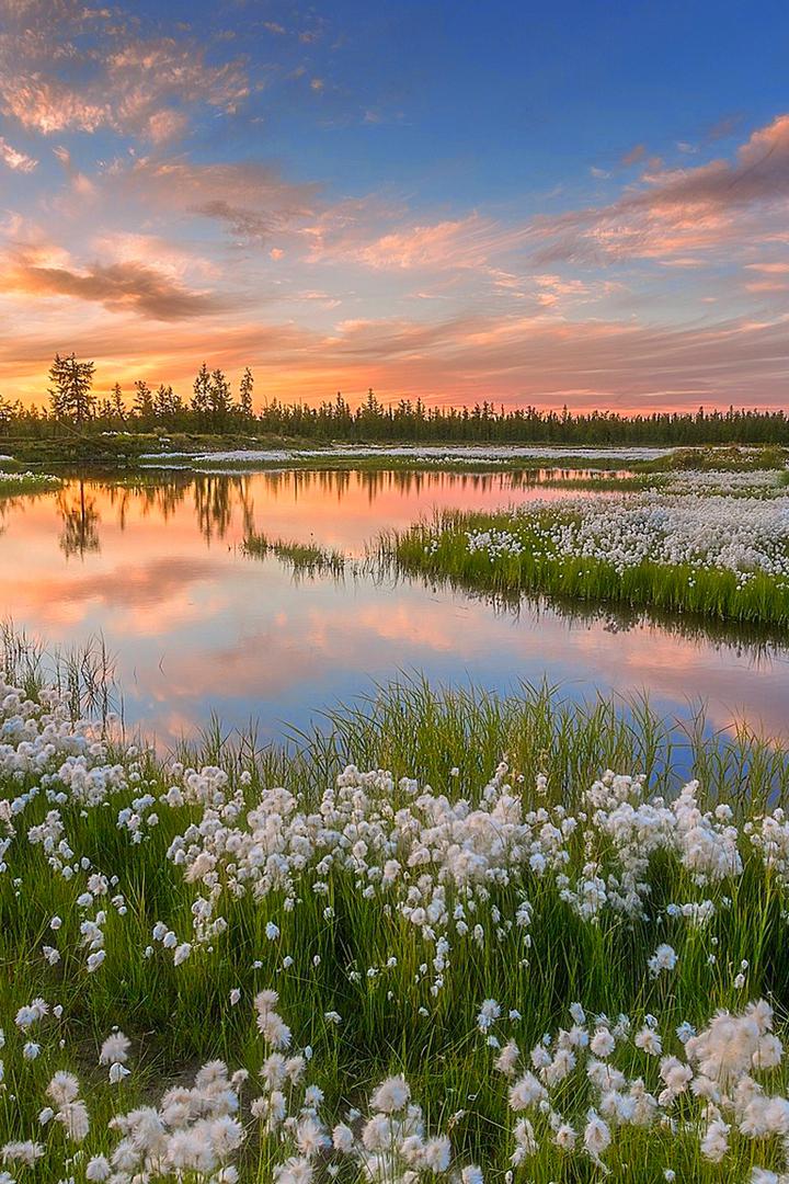 Богатства природы