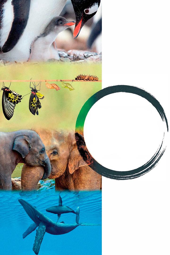 Моменты жизни