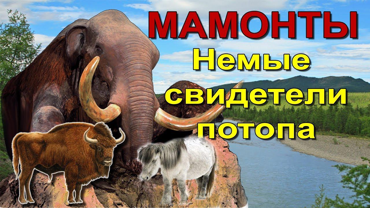 Вечная мерзлота. Мамонты. Немые свидетели потопа