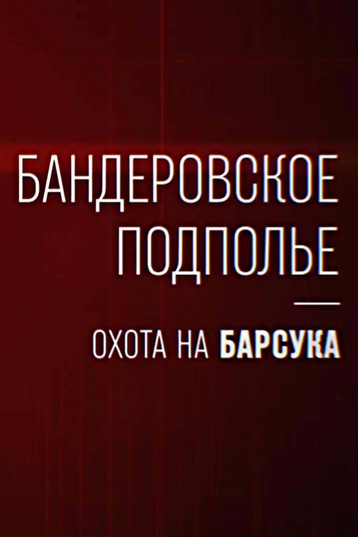 Бандеровское подполье. Охота на Барсука