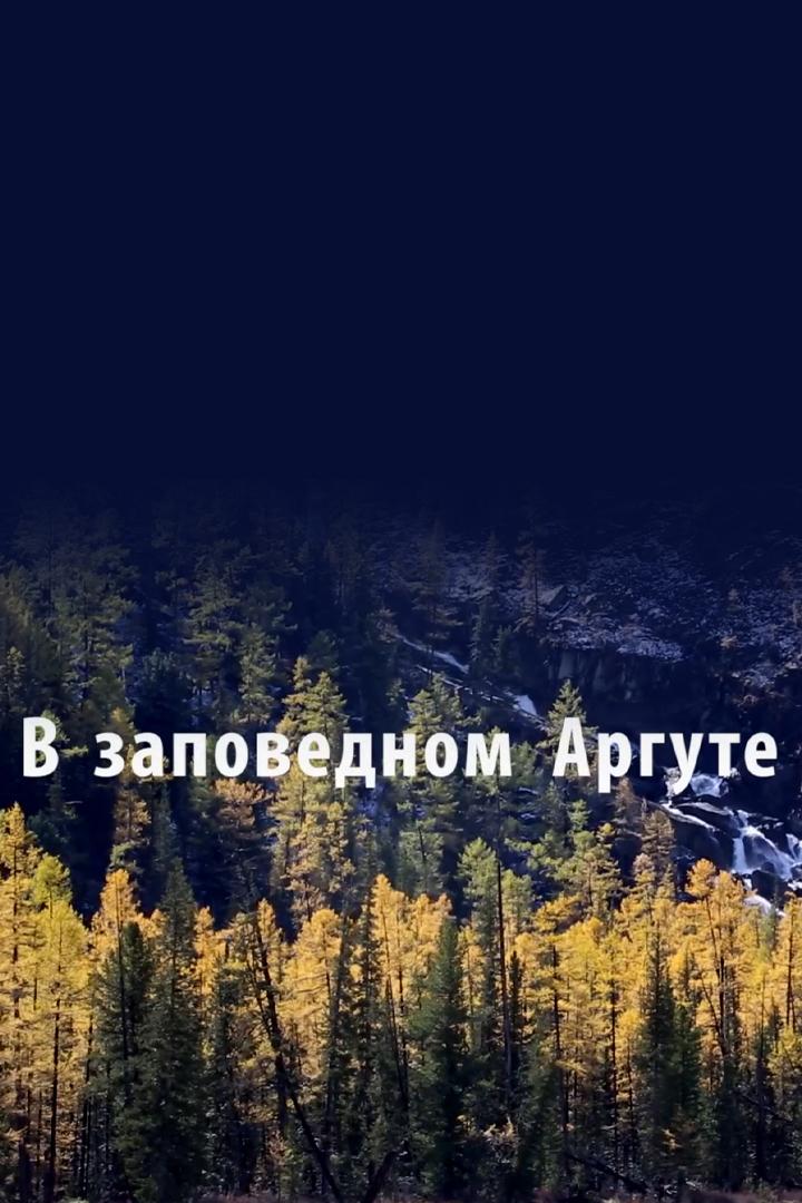 В заповедном Аргуте