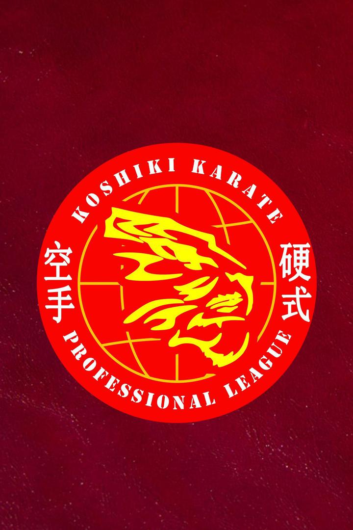 Каратэ. Чемпионат мира "Кубок Сёгуна"