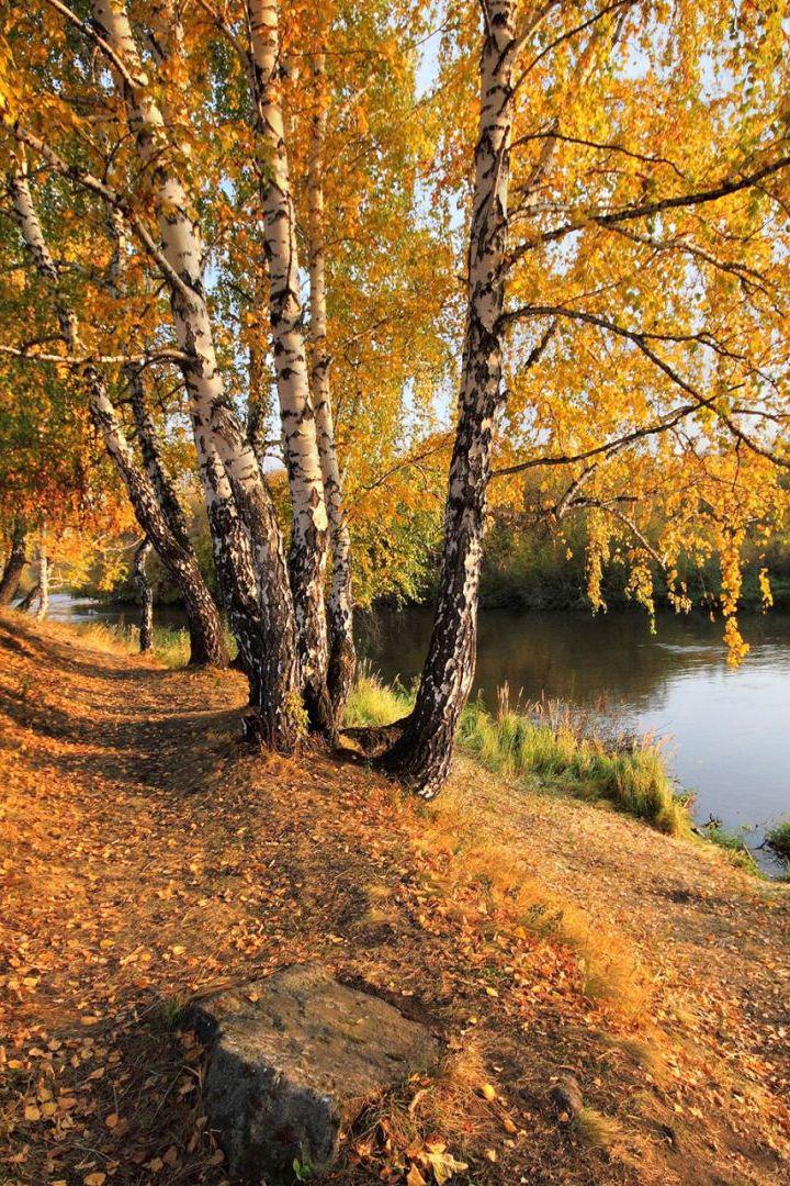 Осень, горячий бургер с чаем - Динар Калимуллин