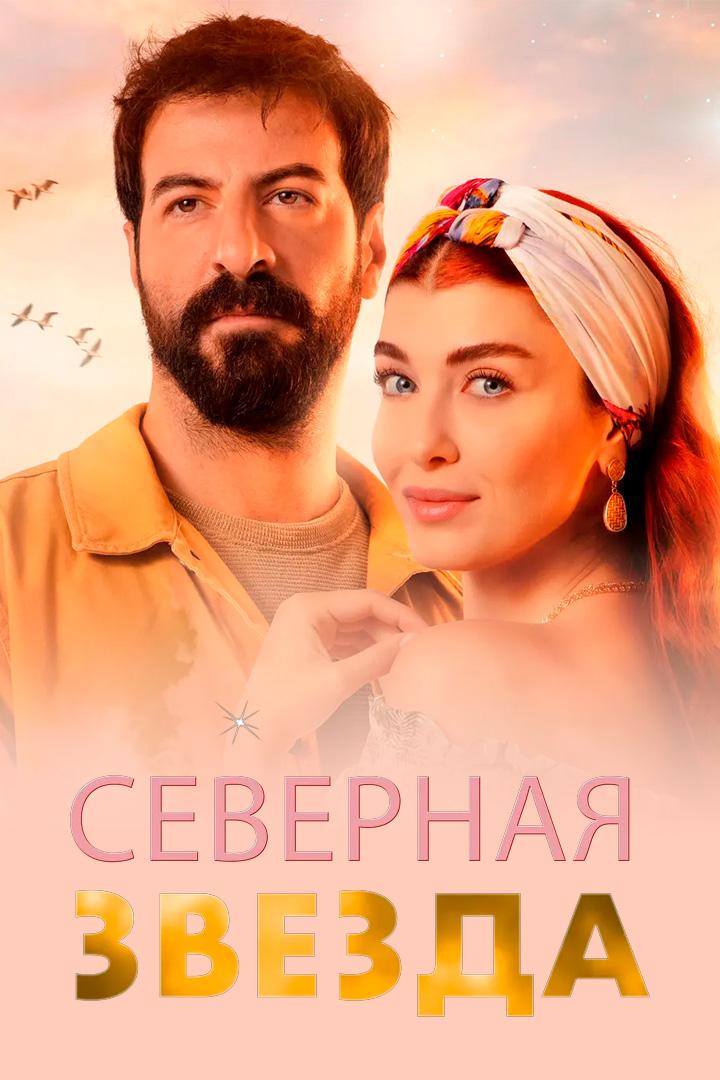 Полярная звезда