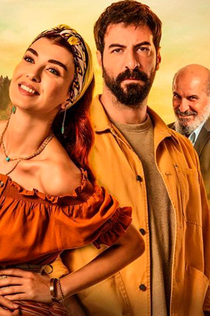 Полярная звезда