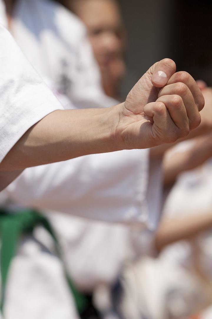 Каратэ. Международный турнир "Вселенная каратэ". Трансляция из Москвы