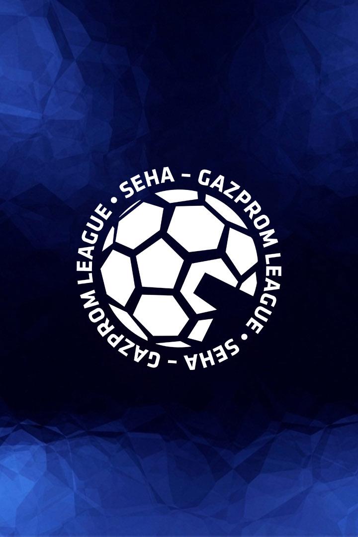 Гандбол. SEHA-Газпром Лига. "СКА Минск" (Белоруссия) - "Пермские медведи" (Россия)