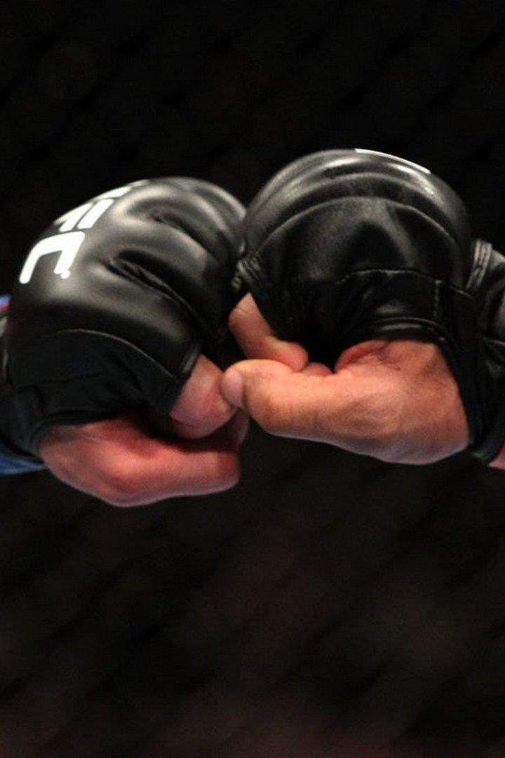 Смешанные единоборства. Вечер единоборств "Сила Сибири"