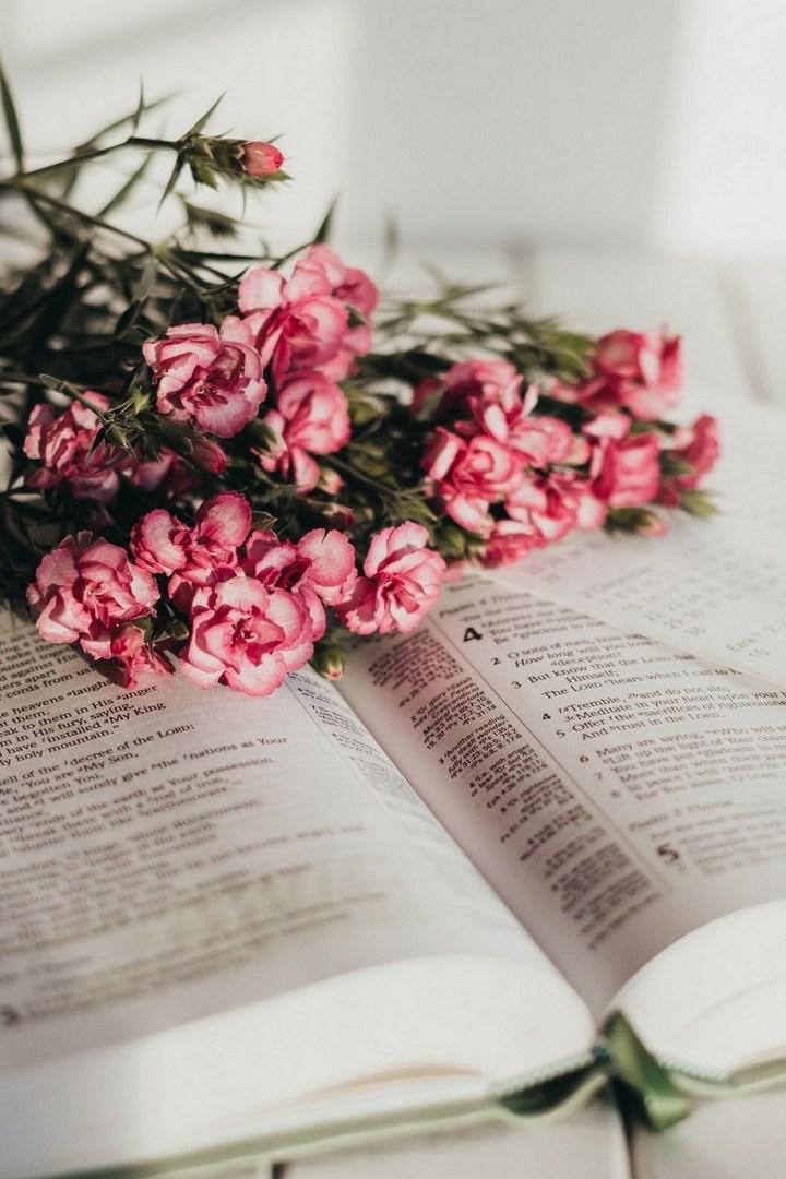 Большая Валдайская тропа