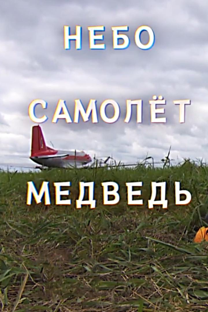 Небо. Самолет. Медведь