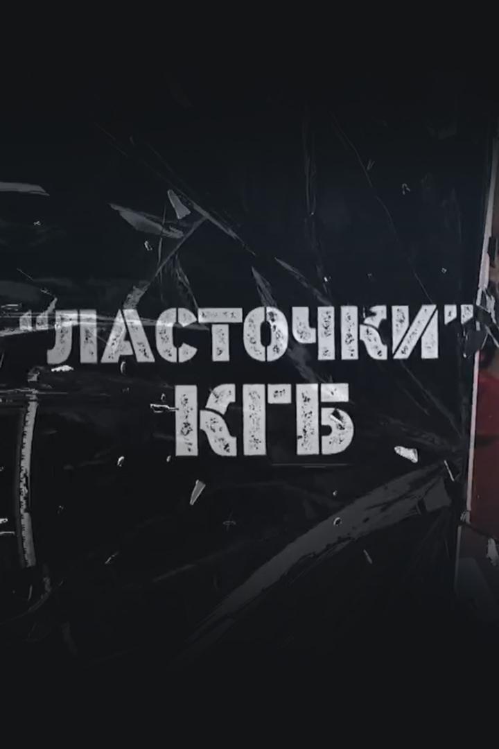 Ласточки КГБ