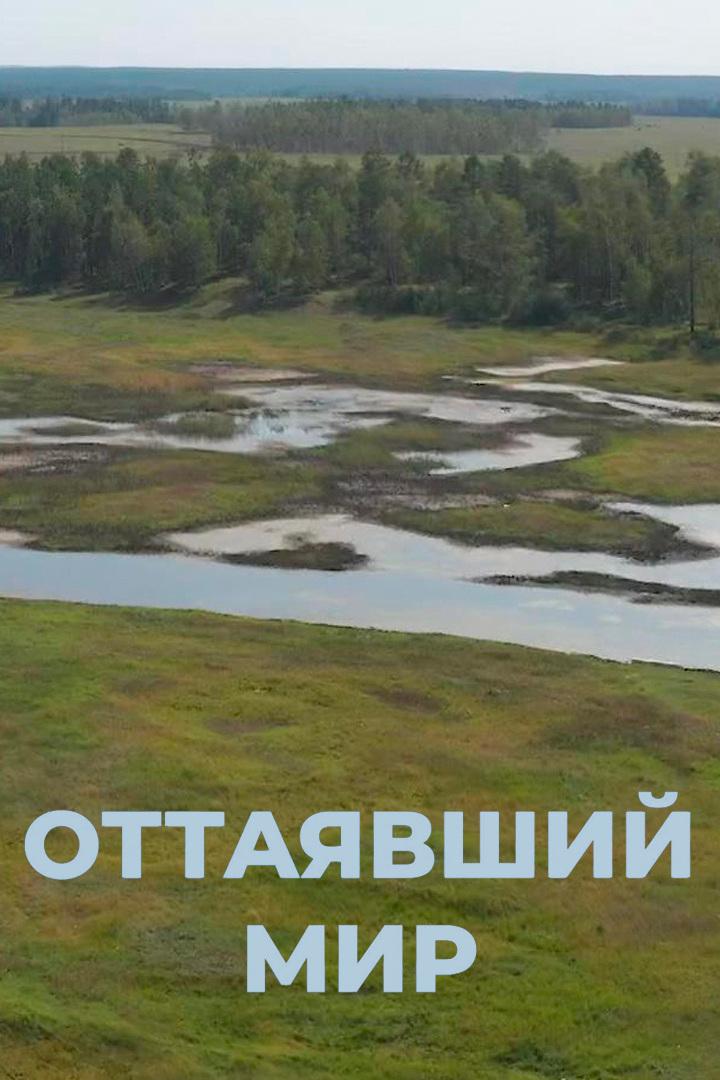Оттаявший мир
