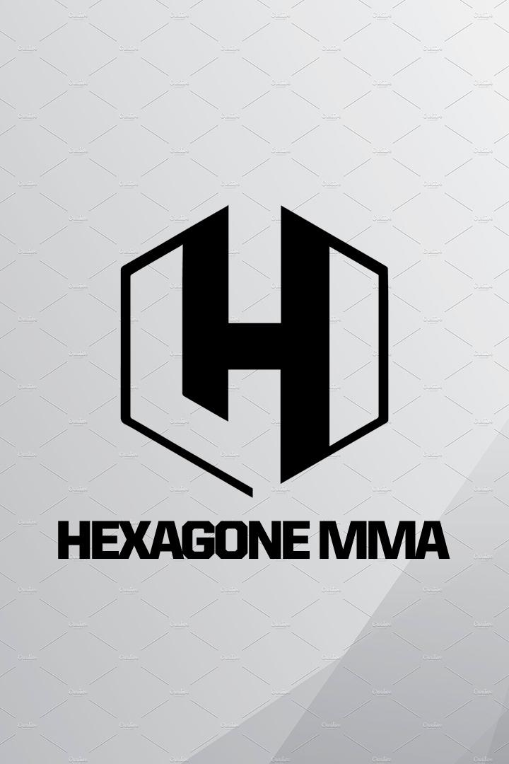 Смешанные единоборства. Hexagone MMA 6. Летиция Блот против Эрнесты Кареккайте. Крис Фишголд против Язида Чучанэ. Трансляция из Франции