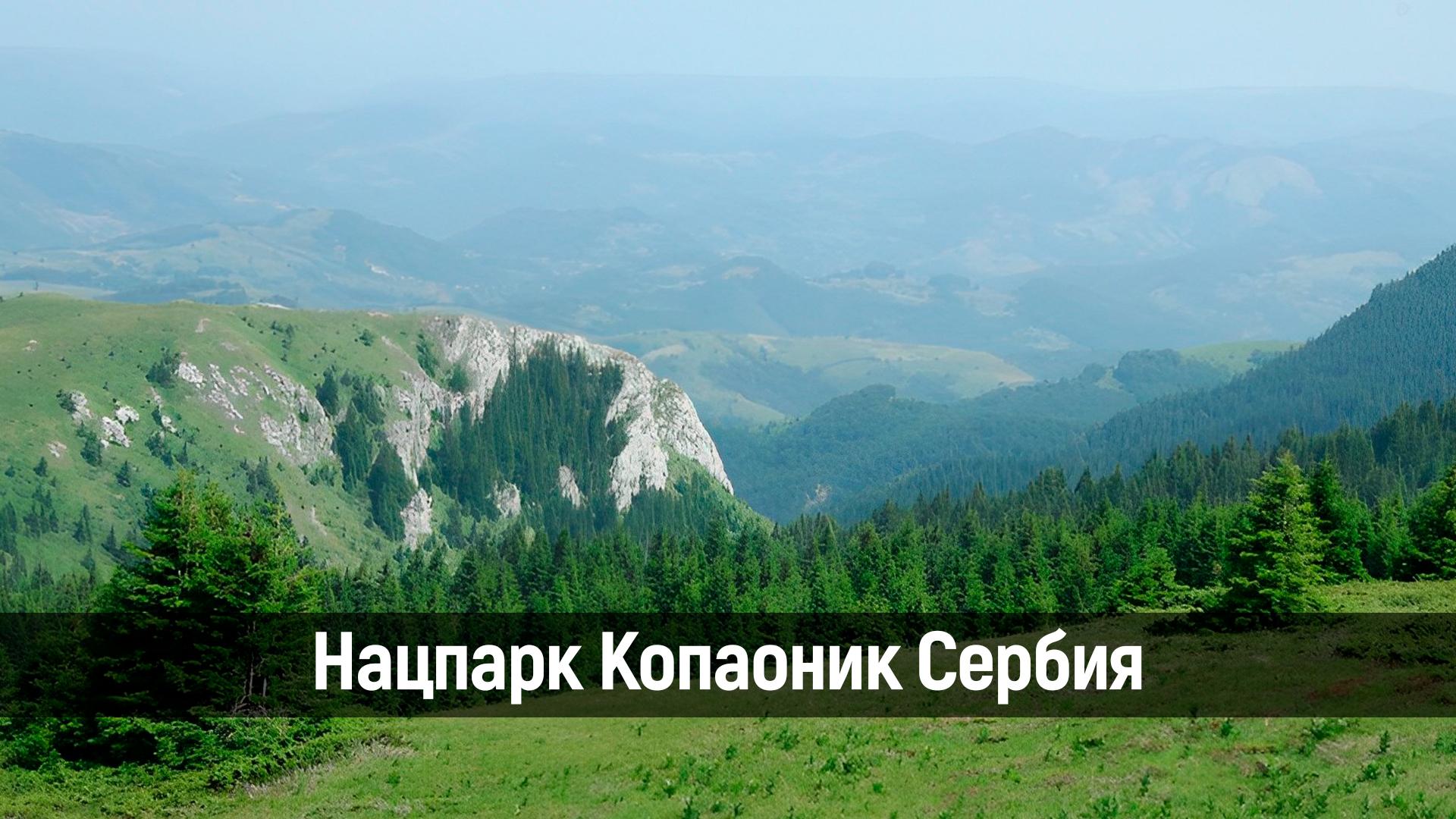 Нацпарк Копаоник Сербия