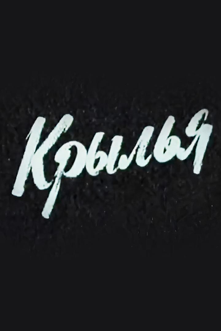 Крылья. Валентина Гризодубова