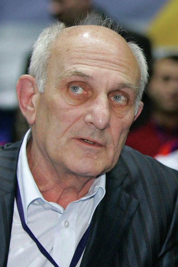 Анатолий Рахлин