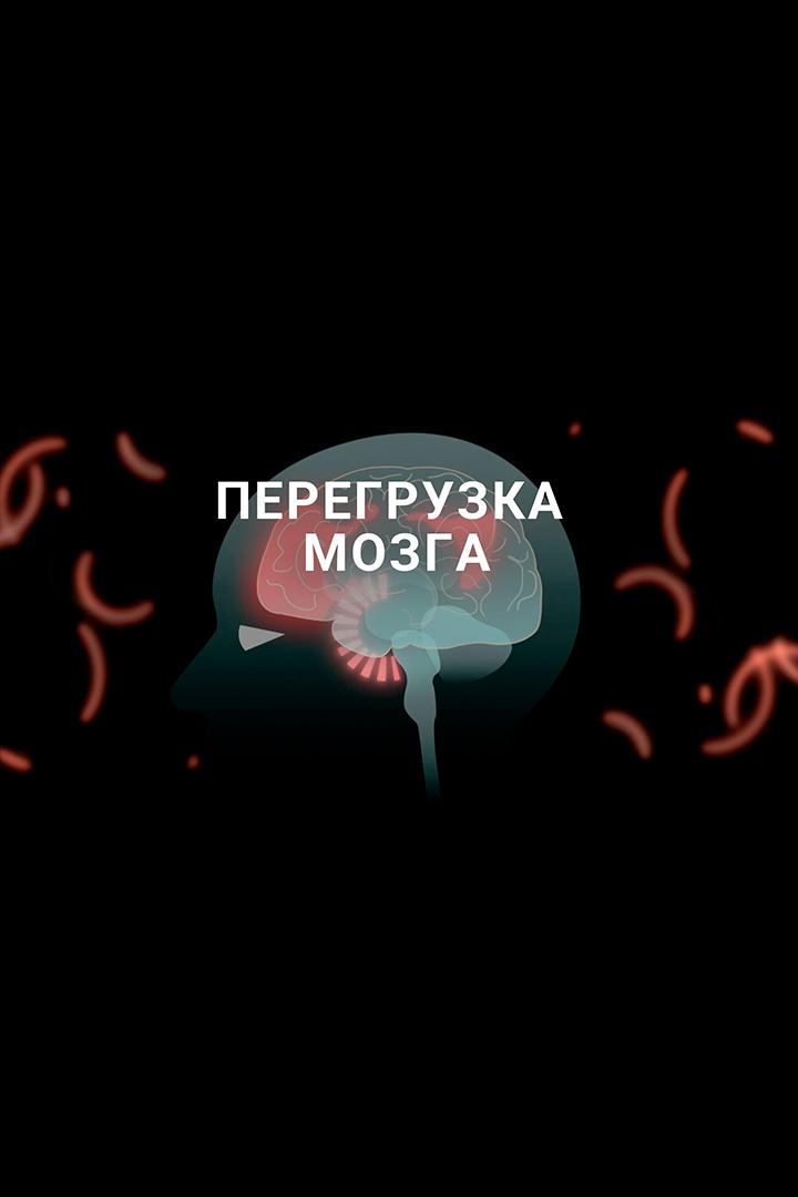 Перегрузка мозга