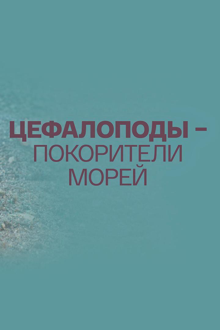 Цефалоподы - покорители морей