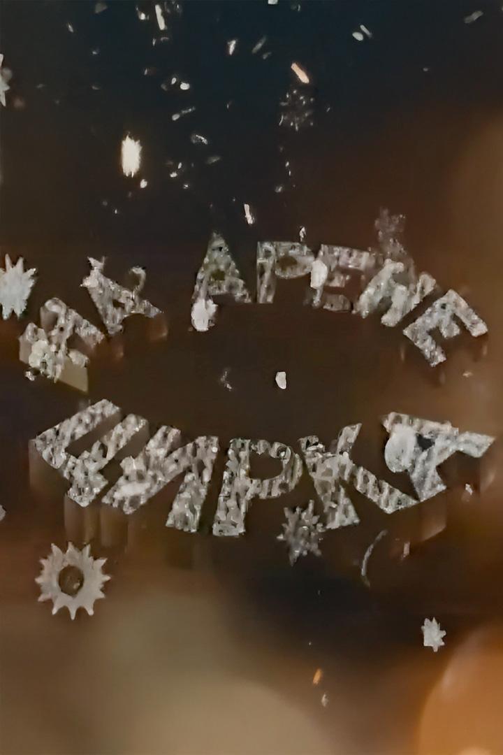 На арене цирка
