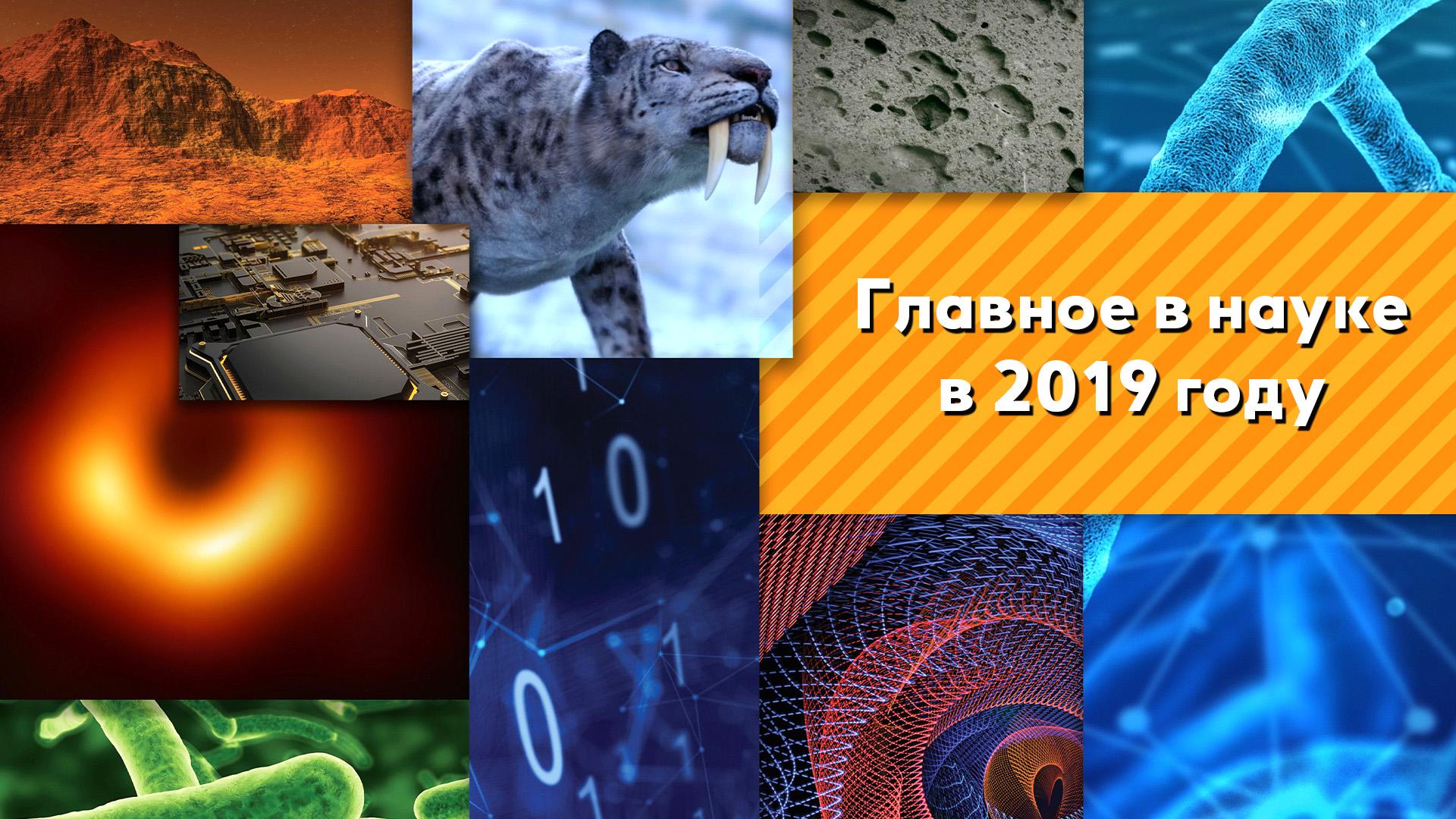 Главное в науке в 2019 году