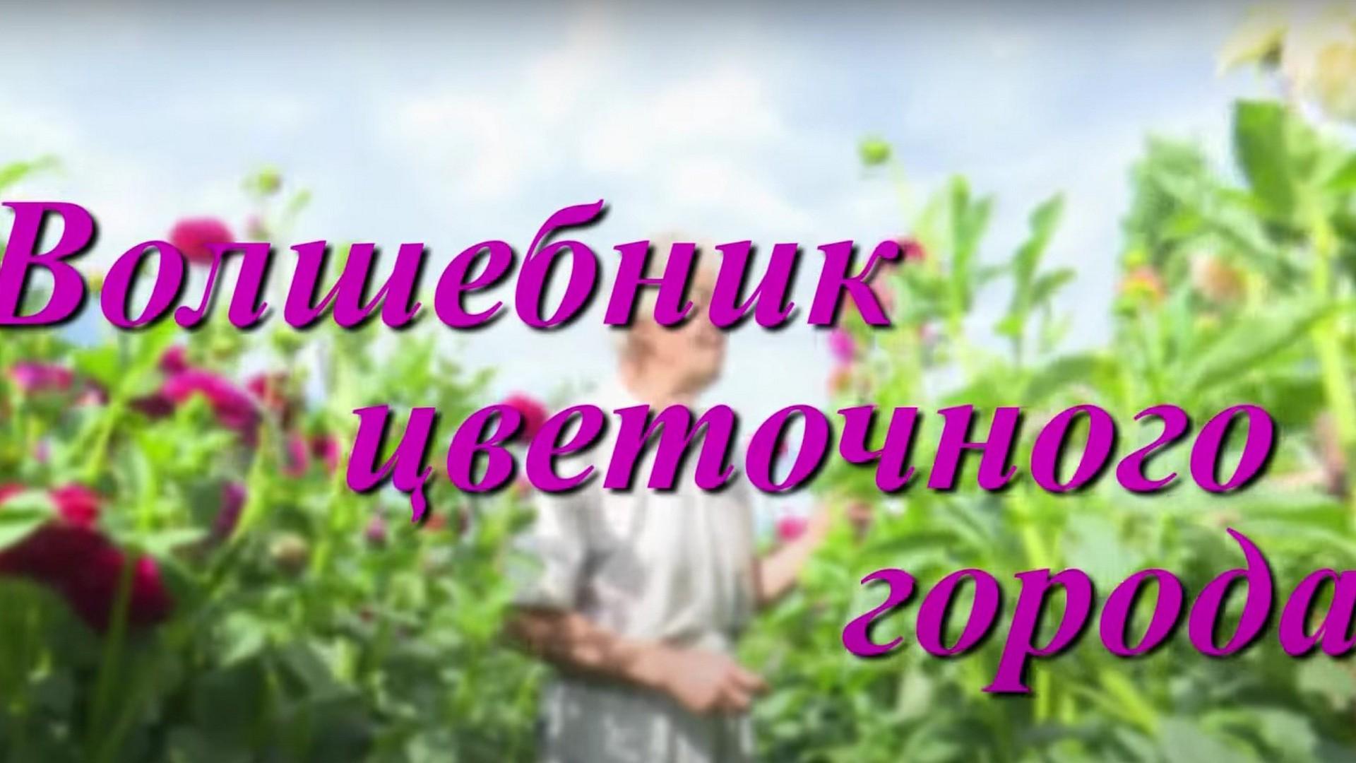 Волшебник цветочного города