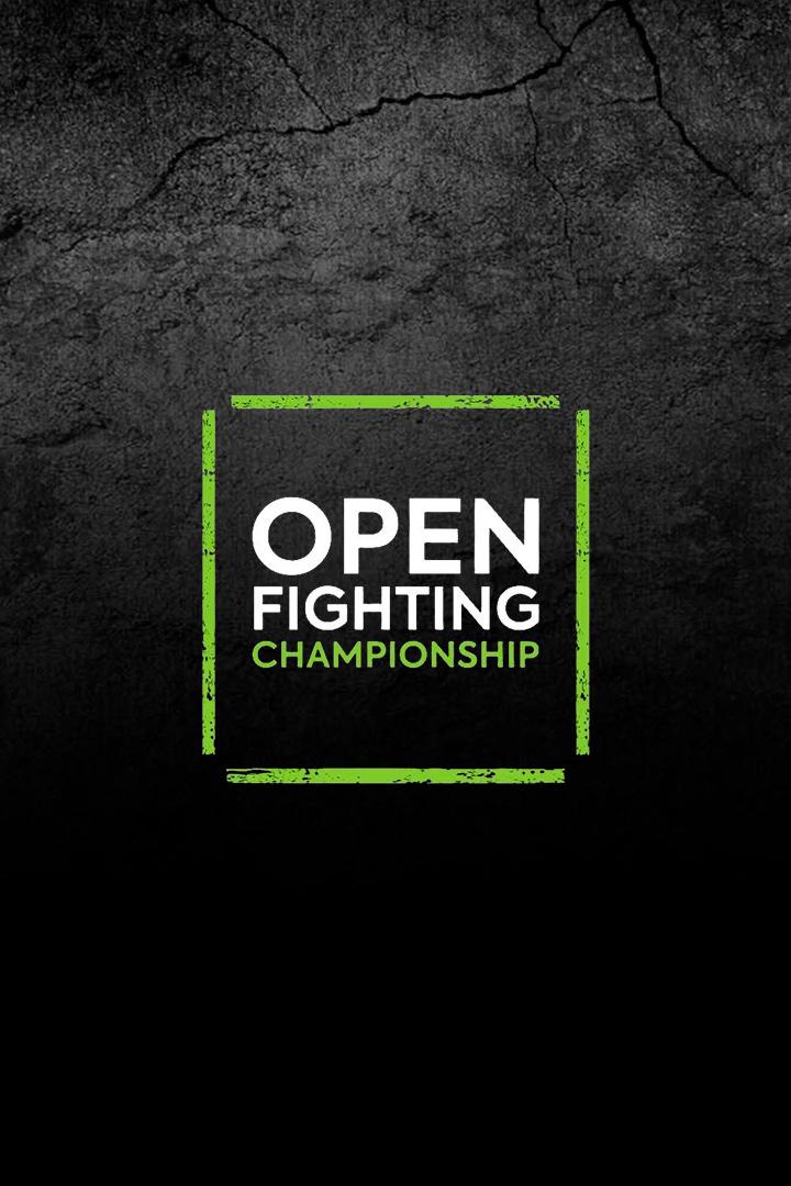 Смешанные единоборства. Open FC 29. Никита Подковальников против Акопа Степаняна. Андрей Аугусто против Богдана Плутахина