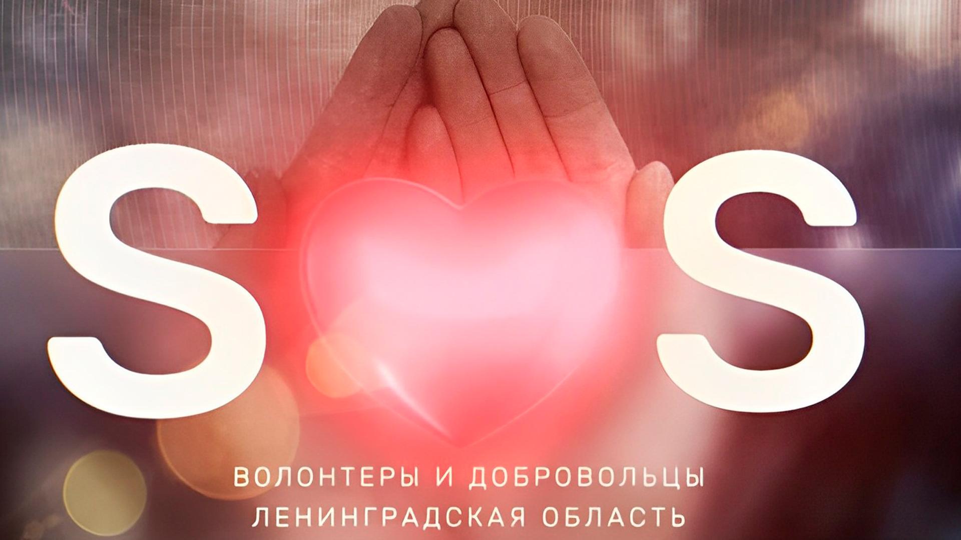 SOS. Добровольцы и волонтеры Ленинградской области