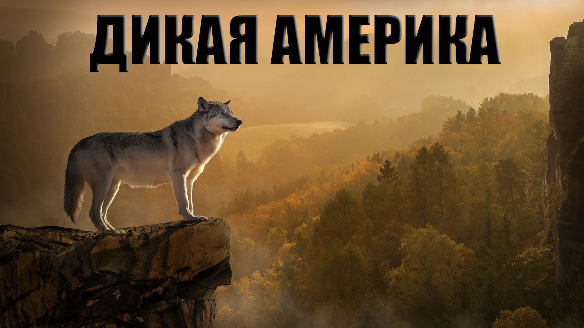 Дикая Америка