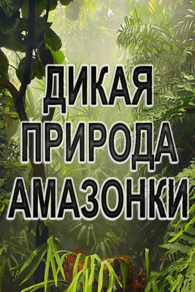 Дикая природа Амазонки
