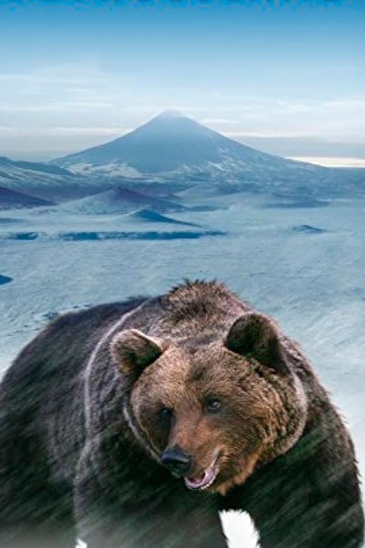 Дикая природа России