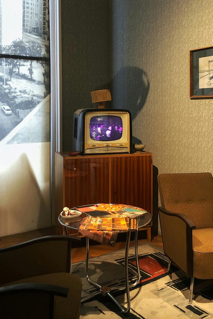 Животные мира