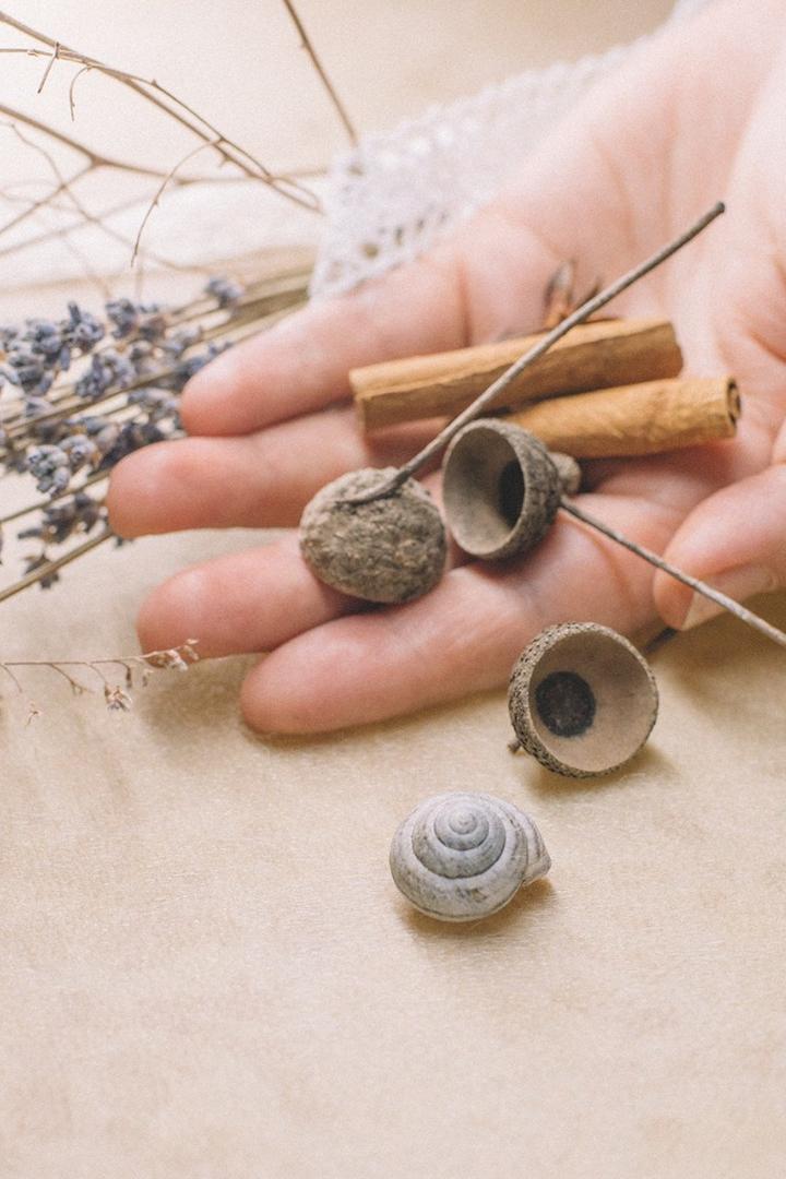 В мире цветов