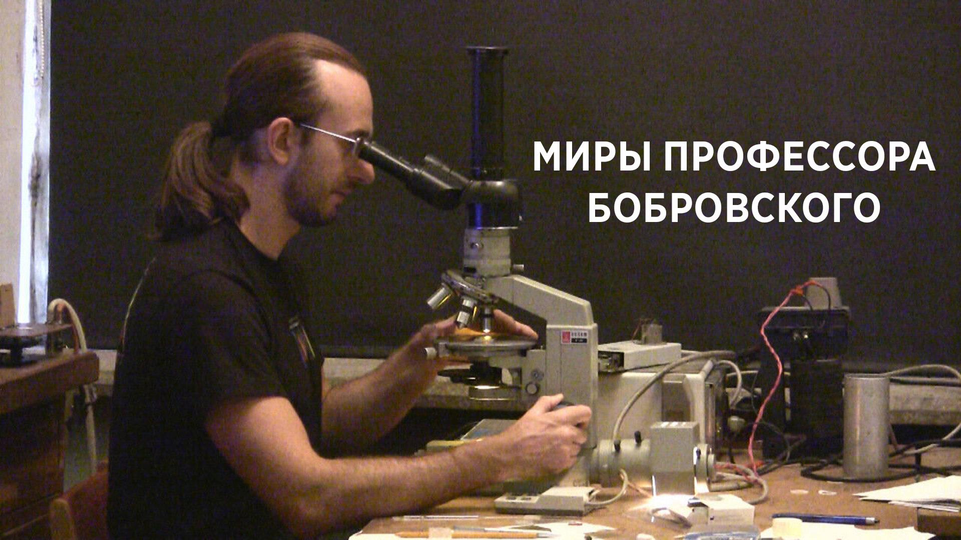 Миры профессора Бобровского