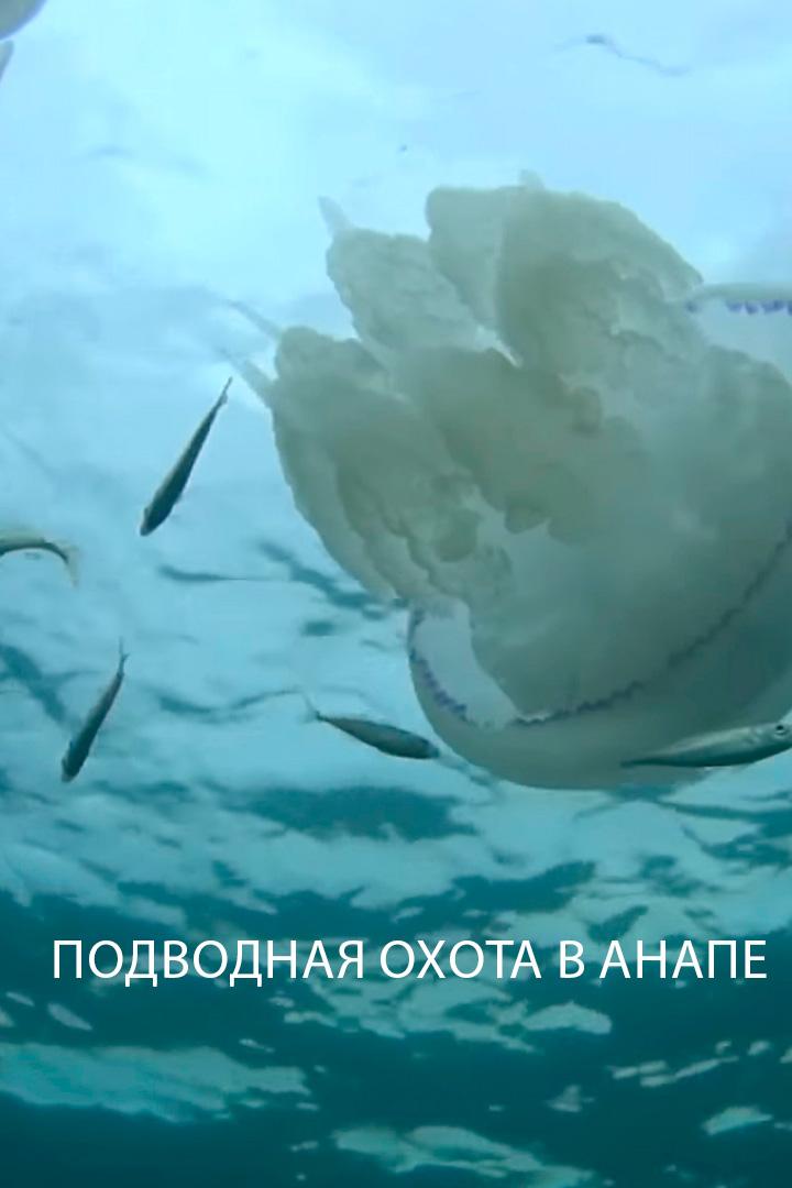Подводная охота в Анапе