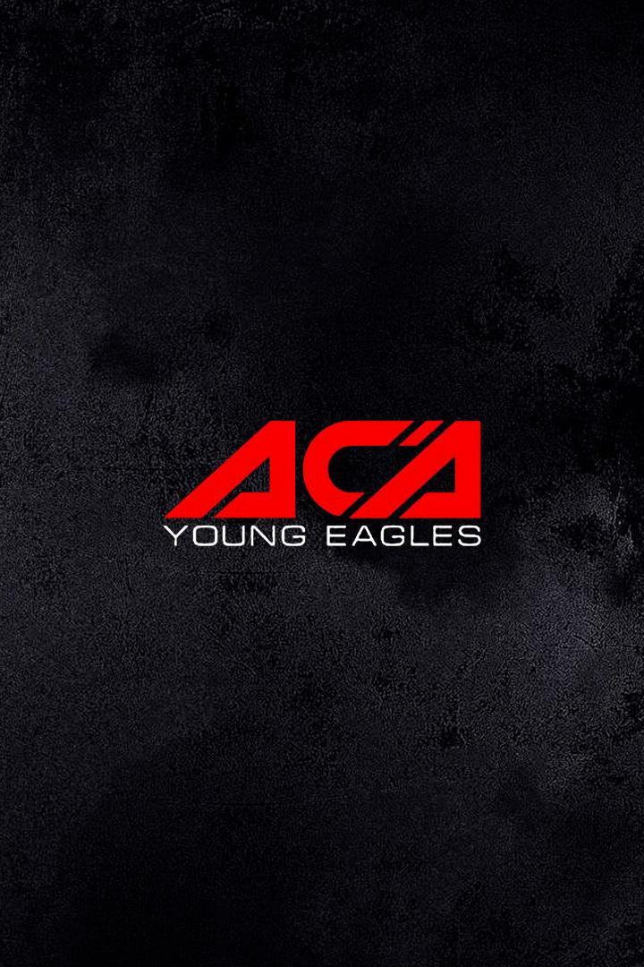 Смешанные единоборства. ACA Young Eagles 35. Владимир Егоян против Алишера Асамова. Иван Соловьев против Антона Мора. Трансляция из Ростова-на-Дону