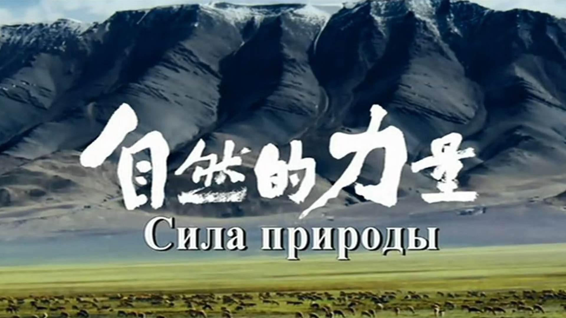 Сила природы