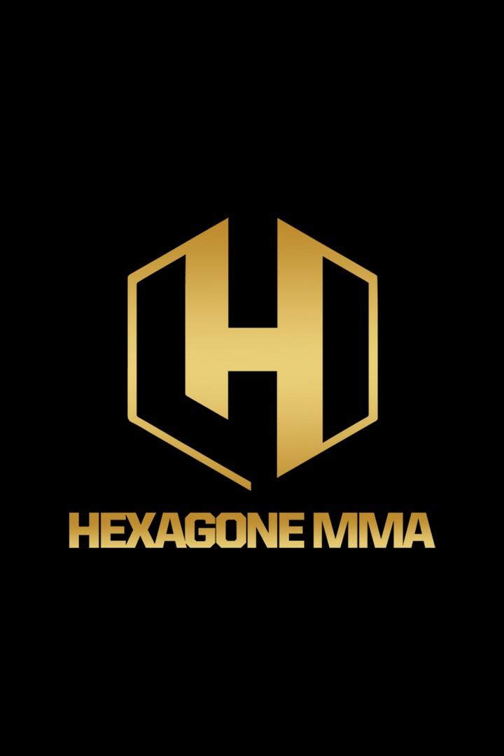 Смешанные единоборства. HEXAGONE MMA 9. Принц Ауналла против Поль-Эммануэля Гназе. Энтони Дизи против Роджера Гарсии. Трансляция из Франции